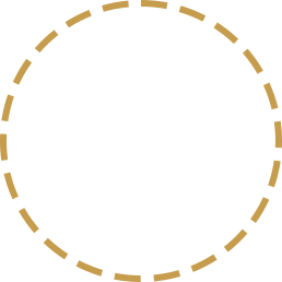 icone saude intestinal