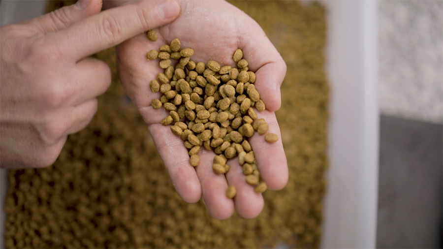 plena alimentos pet quem somos fabrica 5