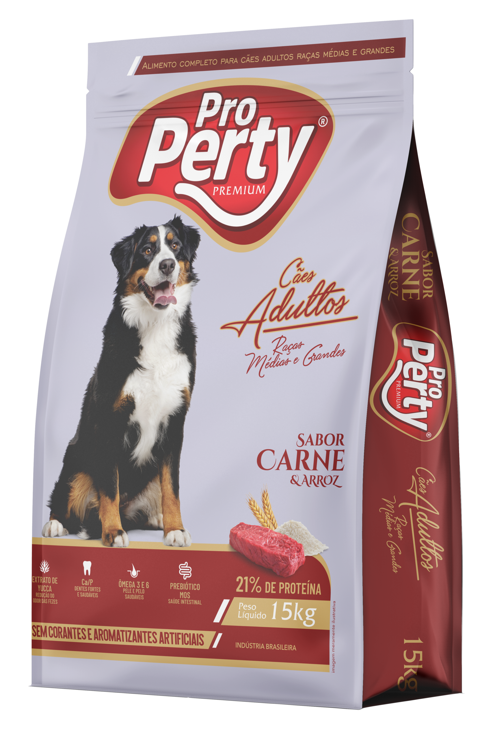 property-caes-adultos (3)